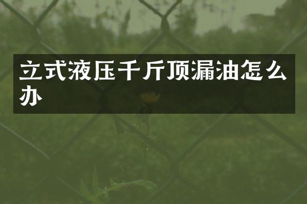立式液压千斤顶漏油怎么办