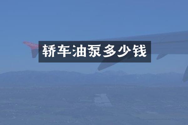 轿车油泵多少钱