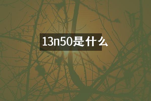13n50是什么