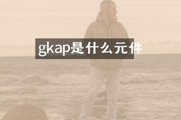 gkap是什么元件