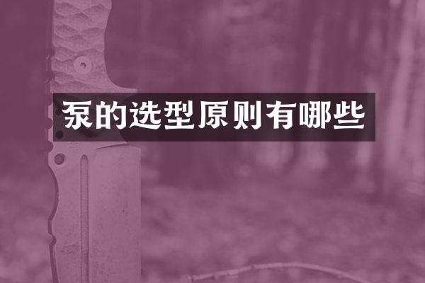 泵的选型原则有哪些