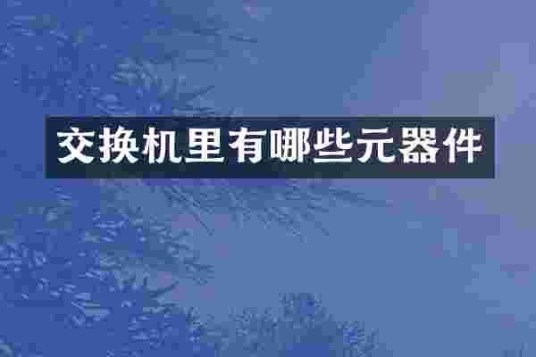 交换机里有哪些元器件