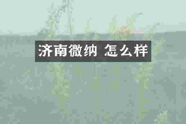 济南微纳 怎么样