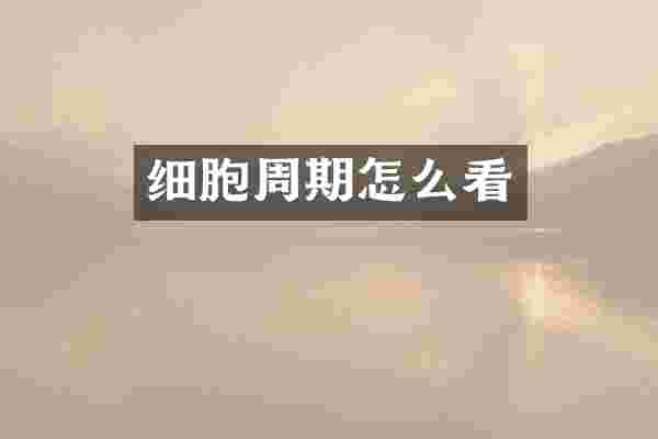 细胞周期怎么看