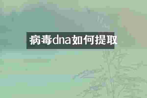 病毒dna如何提取
