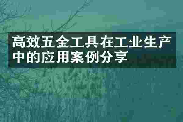 高效五金工具在工业生产中的应用案例分享