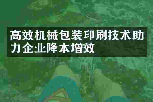 高效机械包装印刷技术助力企业降本增效